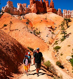 Hiking Trips